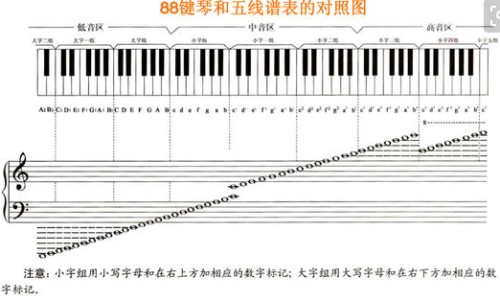 身上长红色扁疙瘩网 :分享身上长红色扁疙瘩很痒是什么原因-身上长红色的血痣知识