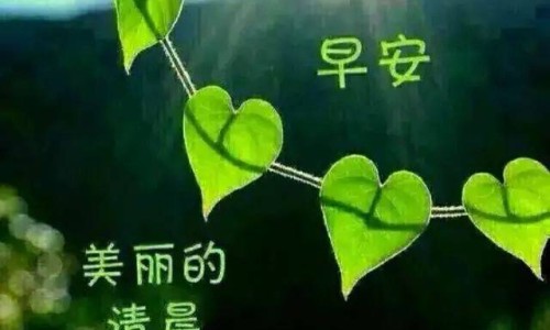 身上长红色的血痣-身上长红色扁疙瘩网 :分享身上长红色扁疙瘩很痒是什么原因-身上长红色的血痣知识